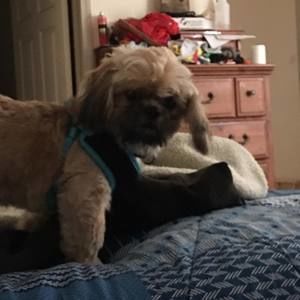 Meet your Posher, Robert